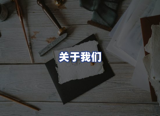 专业团队